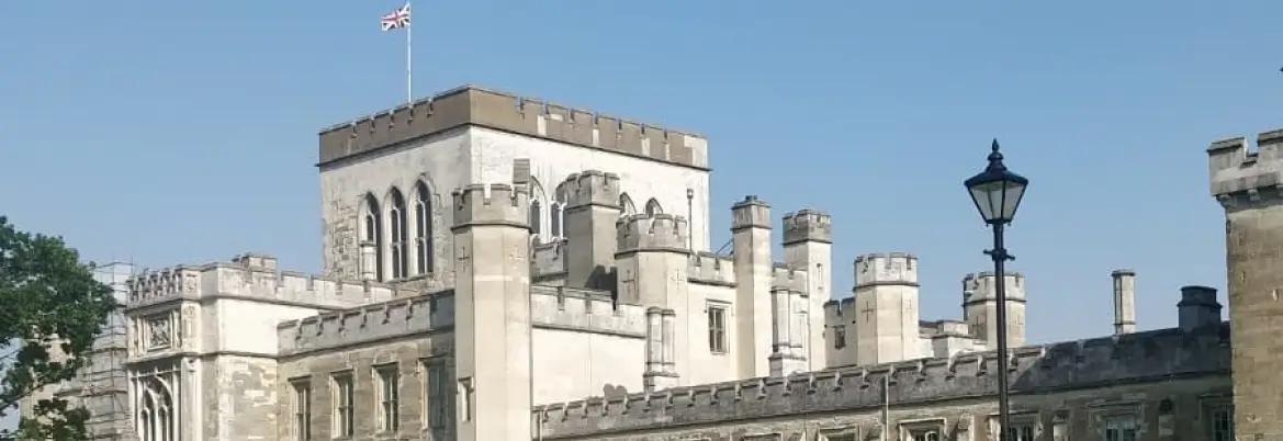 Hult International Business School - Ashridge