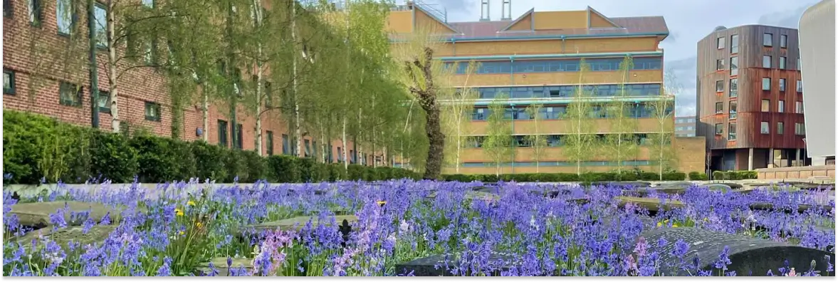 Queen Mary, University of London ELC