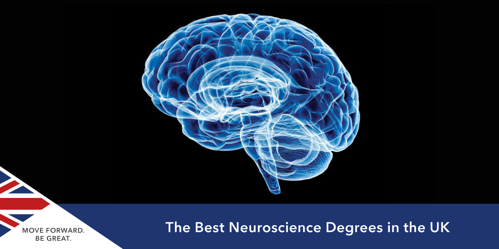 best neuroscience courses uk
