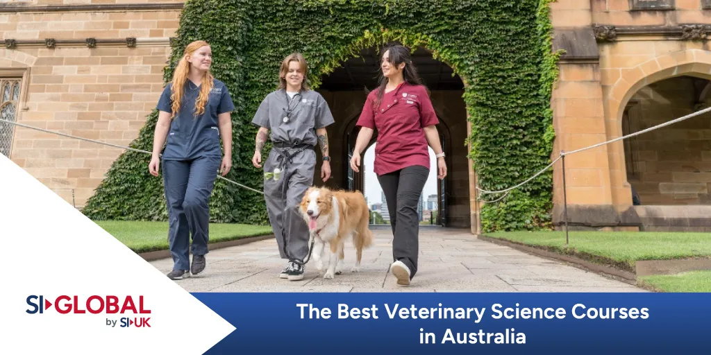 best veterinary science courses australia