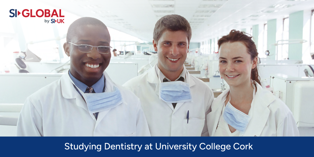 studying dentistry at university college cork