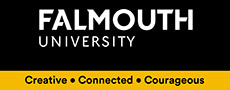 Falmouth Üniversitesi