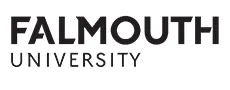 Falmouth Üniversitesi