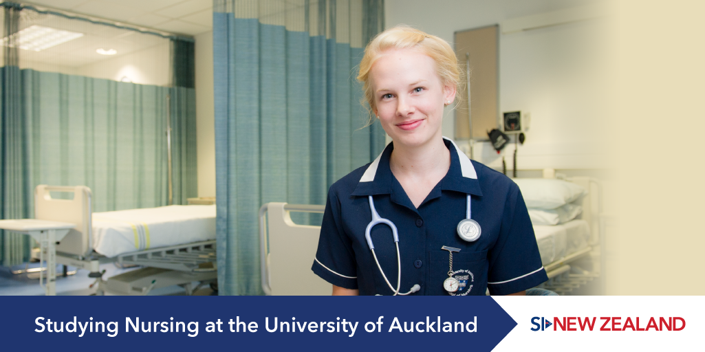 nursing courses auckland university
