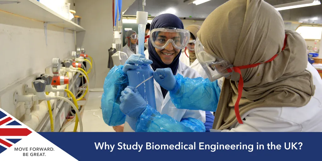 why study biomed engineering in the UK