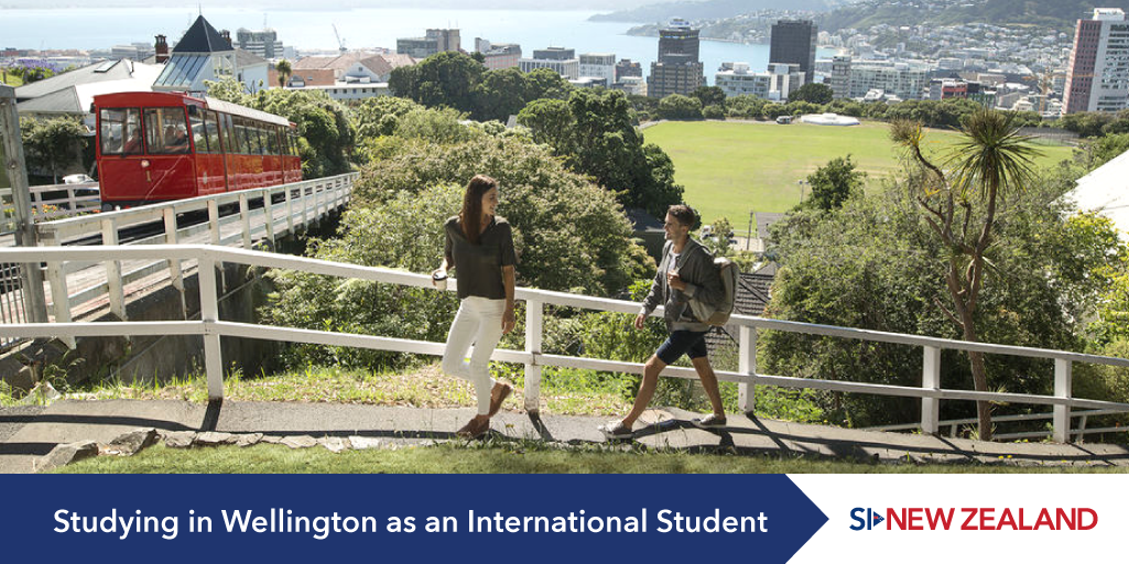 studying at a university in wellington