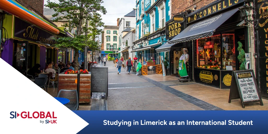 why study in limerick