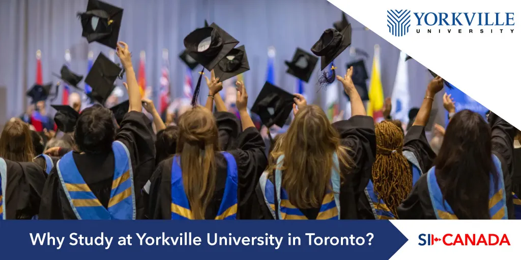 why study at yorkville university